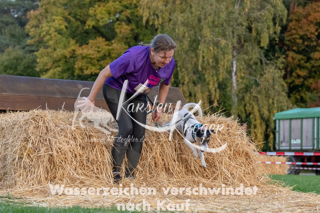 0811_ZZ94766-Bearbeitet | kk-dogfotos