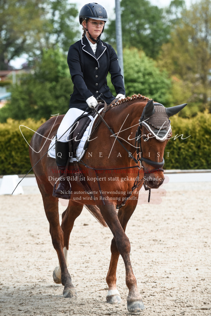 20230518_JK-Röhrsdorf-11-0307 | Pferde- und Turnierfotografie in Westsachsen. Pferdeportraits, Auftragszeichnungen und intuitive Kunst.