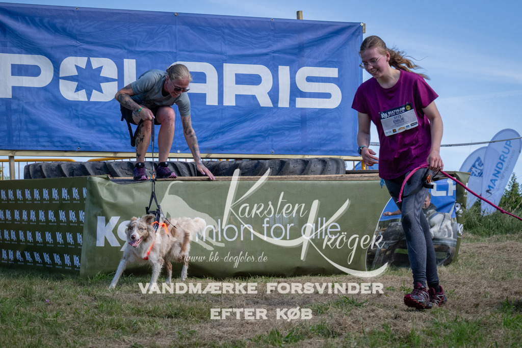 1102_ZZ90347 | kk-dogfotos