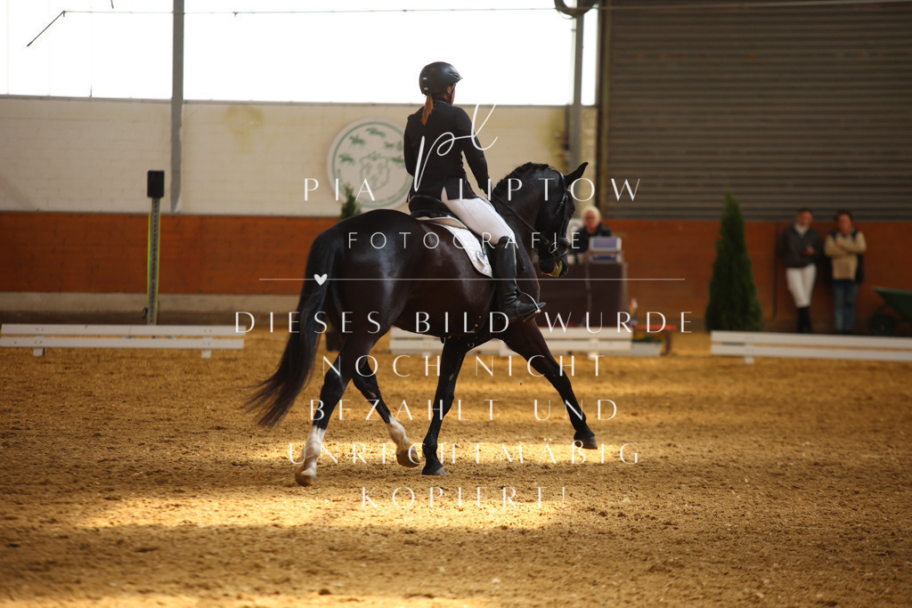 IMGT4272 | pl-fotografie