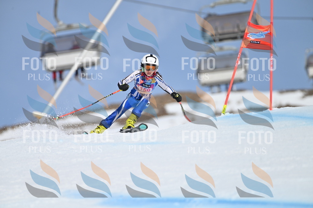 BGV_0220 | holidayphoto