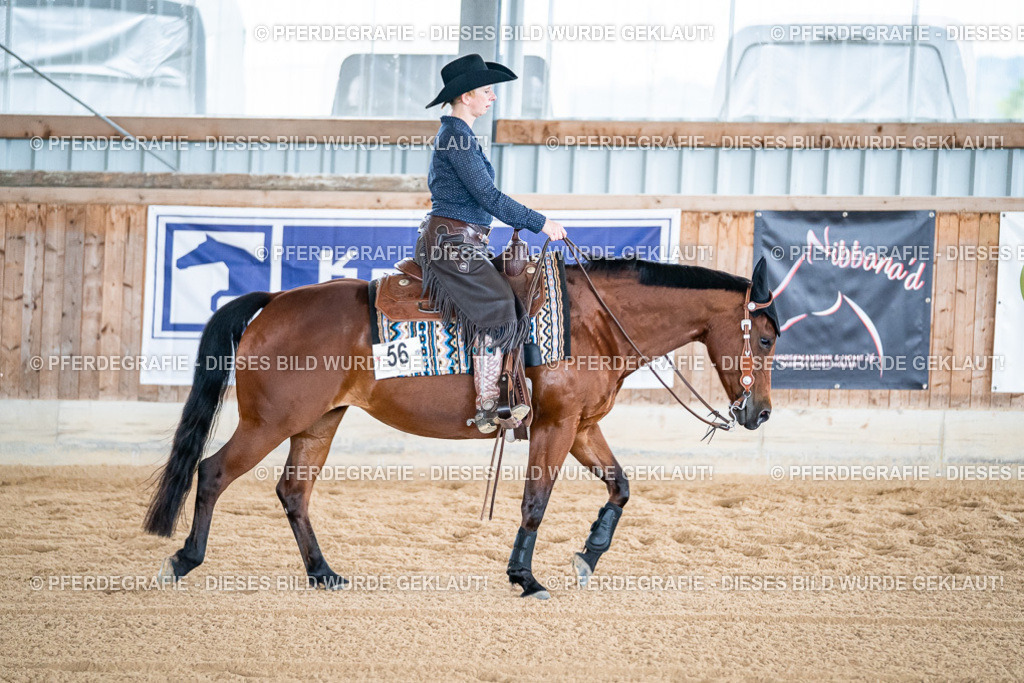 DSC08508 | Pferdegrafie