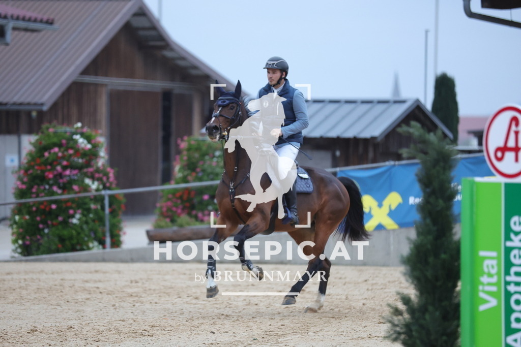 0P6A5547 | Willkommen bei Brunnmayr - Design & Fotografie – Ihrem Spezialisten für Reitturniere und Pferdeveranstaltungen in Oberösterreich, Salzburg und Bayern! Seit über 17 Jahren sind wir leidenschaftlich dabei.