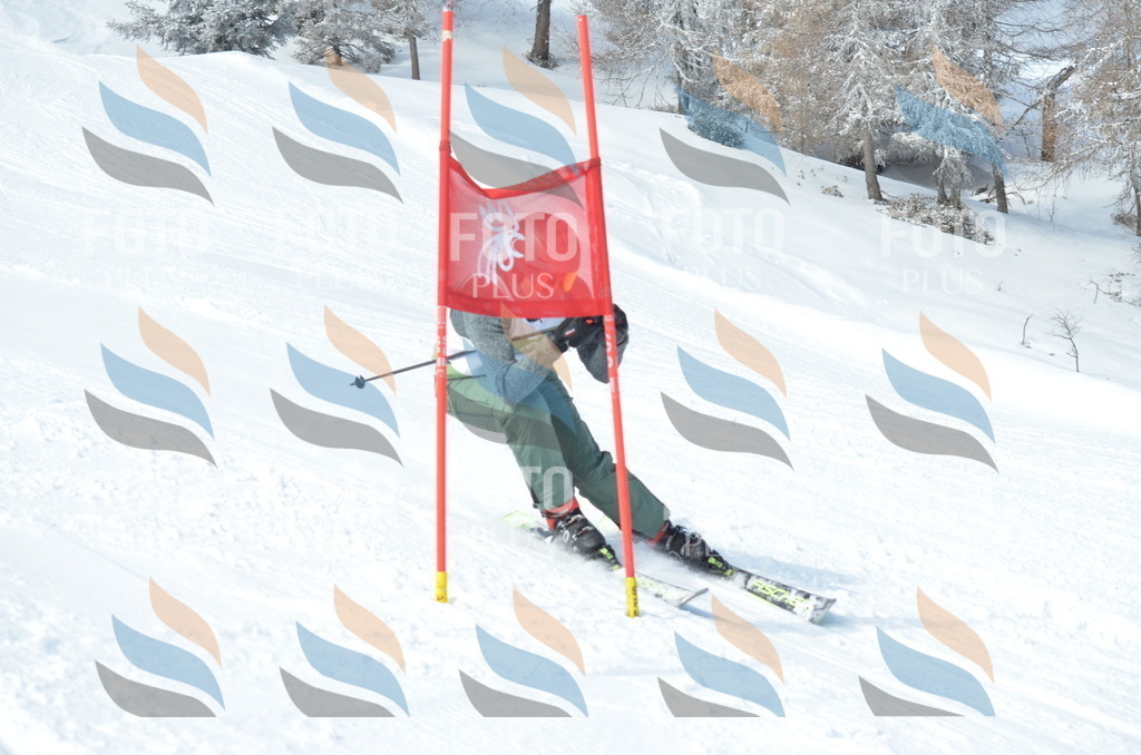 D9044 | holidayphoto