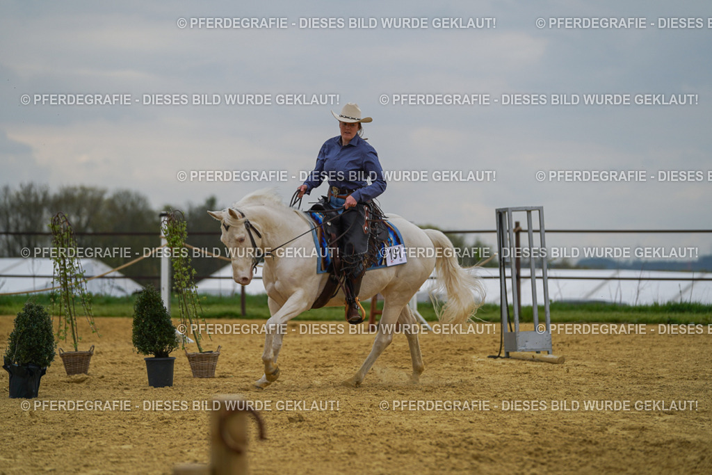 DSC07519 | Pferdegrafie