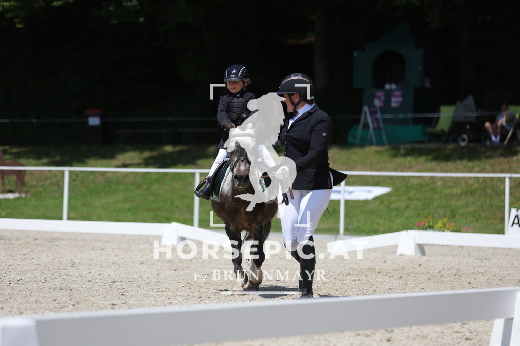 0P6A5801 | Willkommen bei Brunnmayr - Design & Fotografie – Ihrem Spezialisten für Reitturniere und Pferdeveranstaltungen in Oberösterreich, Salzburg und Bayern! Seit über 17 Jahren sind wir leidenschaftlich dabei.