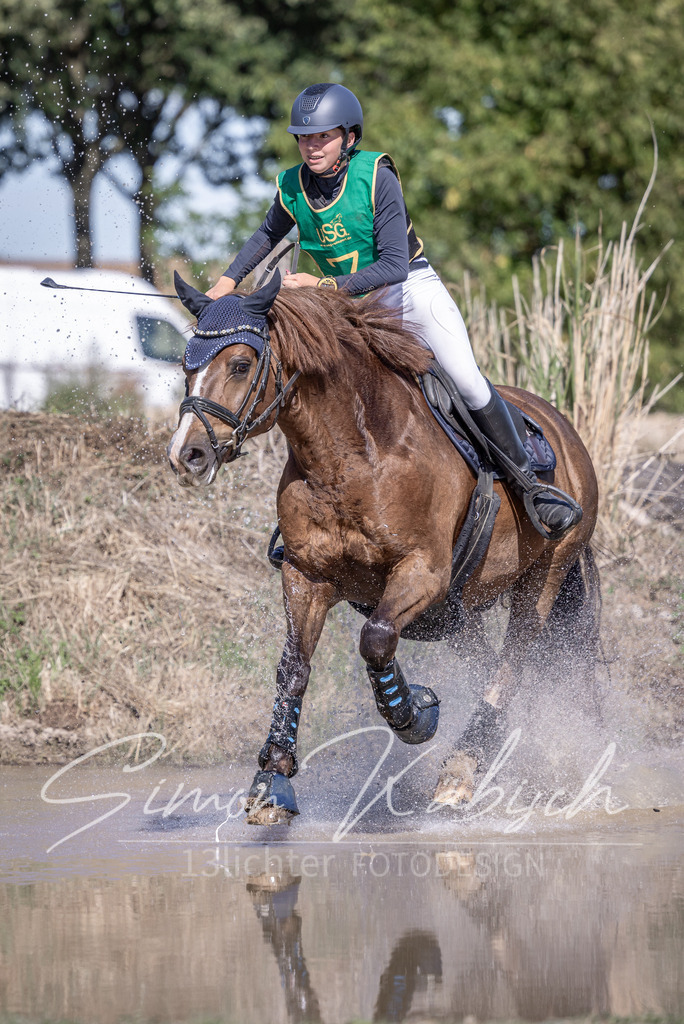 20260906-_3LI5516 | Tierfotografie Pferde, Hunde, Katzen, Haustiere.
Turnierfotografie Reitturniere, Reiten, Springreiten, Dressur in Hanau, dem Main-Kinzig-Kreis und dem Rhein-Main- Gebiet um Frankfurt