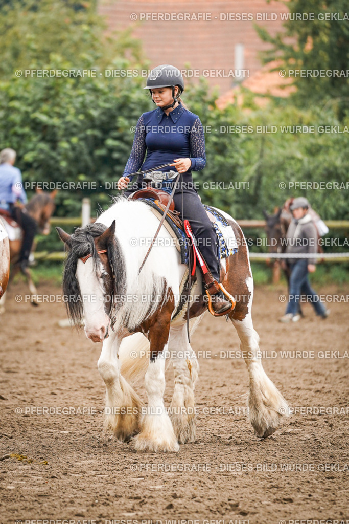 DSC02100 | Pferdegrafie