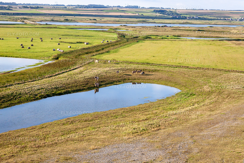 Aerial view: Willows behind the dike in Woignarue in the state Somme, France. – Photo: IMG_70879.jpg taken on 08/24/2014 by Werner Riehm/FLY-FOTO.com – Resolution of the original: 4752 x 3168 px