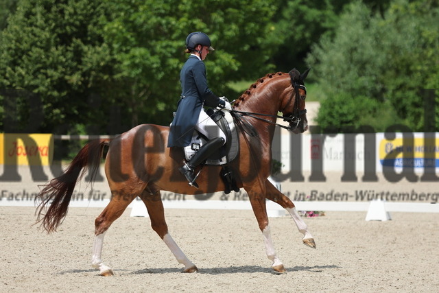 Weilheim_2024_Prfg.Nr.11_Goldenes Band_Dressurprfg_Kl.S_Juliane Fehl_Dagobert 125 (17) | Alle Fotos der Reiterjournal Fotografin Doris Matthaes im Reiterjournal Online-Fotoshop. - Realizado com Pictrs.com