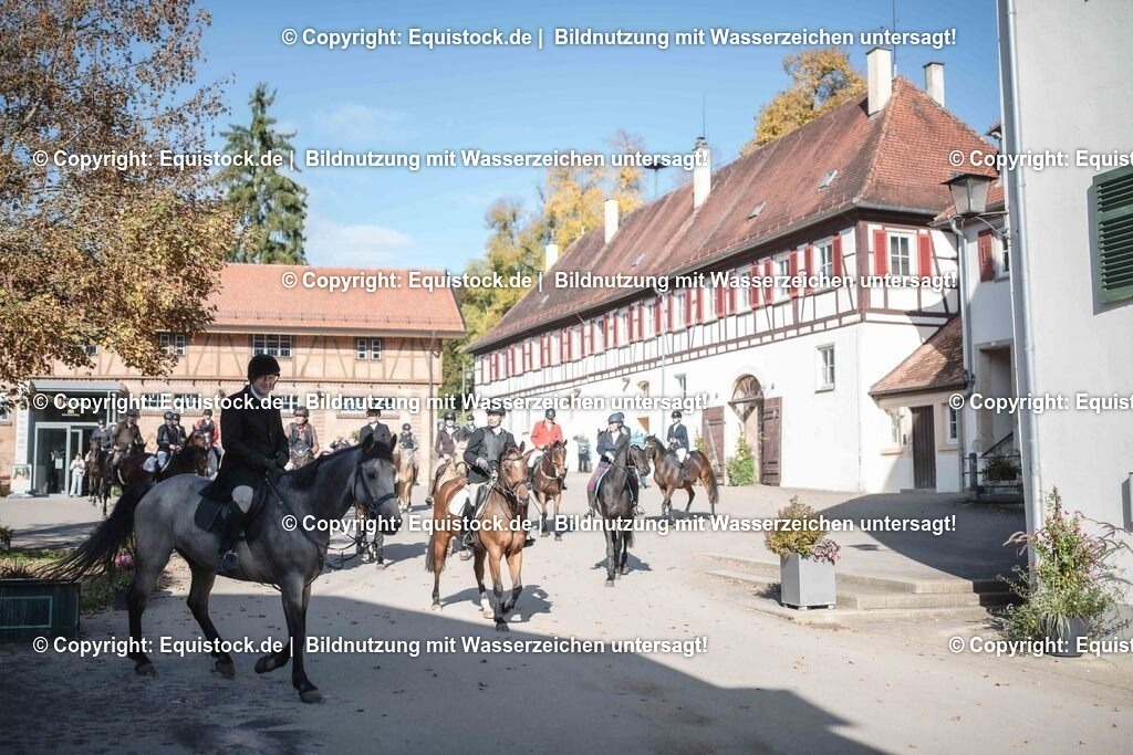 20251011_Jagd-Marbach_0651 | Foto: Thomas Hartig