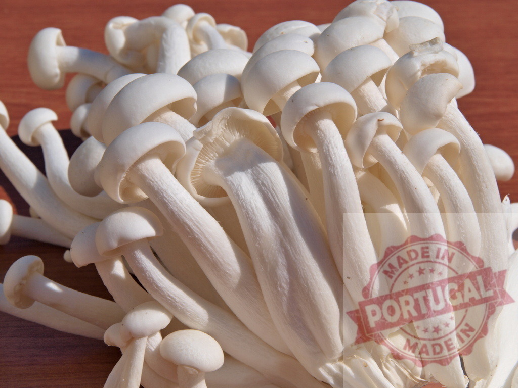 White shimeji mushrooms on wooden background | White shimeji mushrooms forming a bunch, fresh and organic - Realized with Pictrs.com