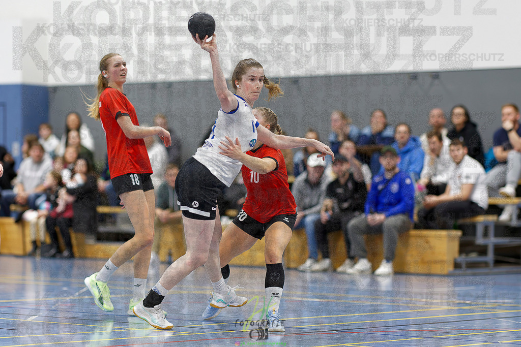 Frauen 2. Bezirksklasse; SG Rechtenbach - HSG Linden II | Frauen 2. Bezirksklasse; SG Rechtenbach - HSG Linden II am 16.11.2025 in Rechtenbach (Sporthalle Rechtenbach)Photo © 2025 - Jörg Heinrich - Realisiert mit Pictrs.com