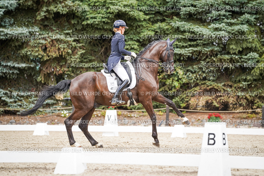 DSC06102 | Pferdegrafie