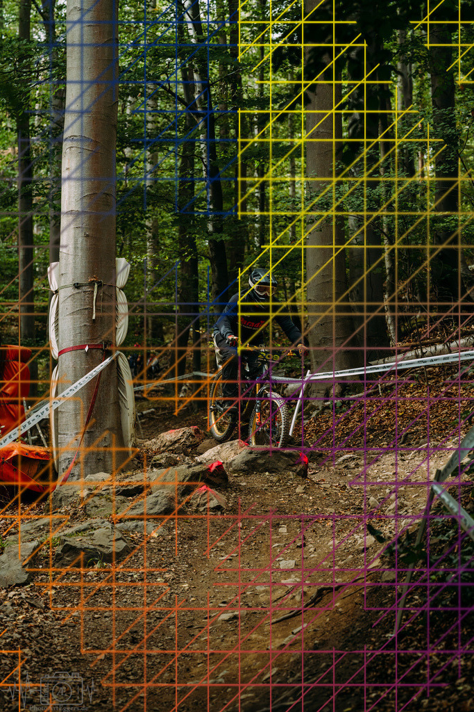 PAE-1812 | Einzigartige Fotokunst für dein Zuhause: Entdecke hochwertige Wandbilder, edle Prints und emotionale Motive von Wildlife, Natur und Landschaften - Realisiert mit Pictrs.com