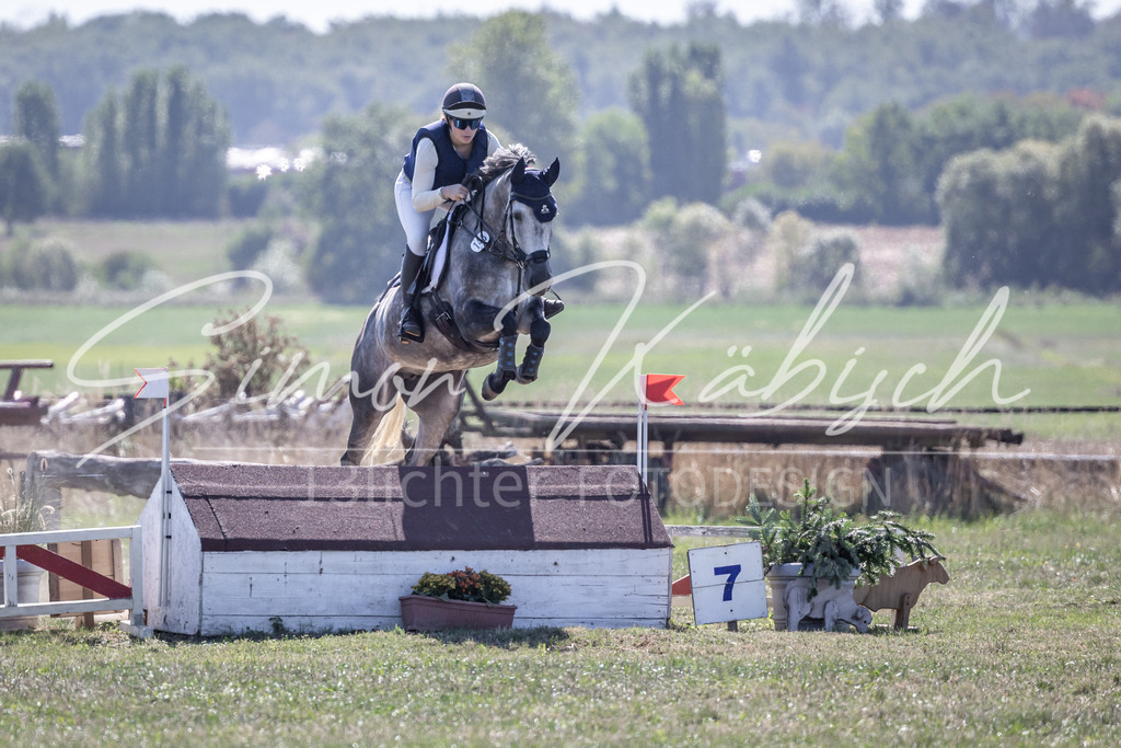 20260906-_3LI2967 | Tierfotografie Pferde, Hunde, Katzen, Haustiere.
Turnierfotografie Reitturniere, Reiten, Springreiten, Dressur in Hanau, dem Main-Kinzig-Kreis und dem Rhein-Main- Gebiet um Frankfurt