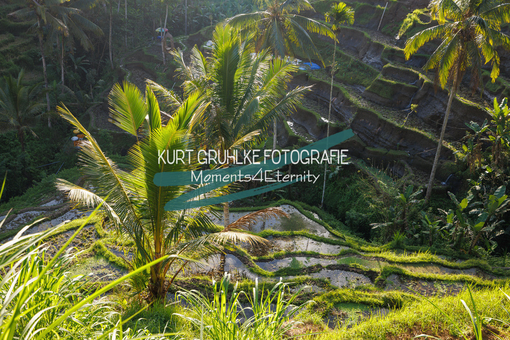 230720-1343 - Kopie | onlinegalerie und Fotoshop Kurt Gruhlke Fotograf Berlin
Hochzeitsfotograf Eventfotograf Portraitfotografie
 - Realisiert mit Pictrs.com