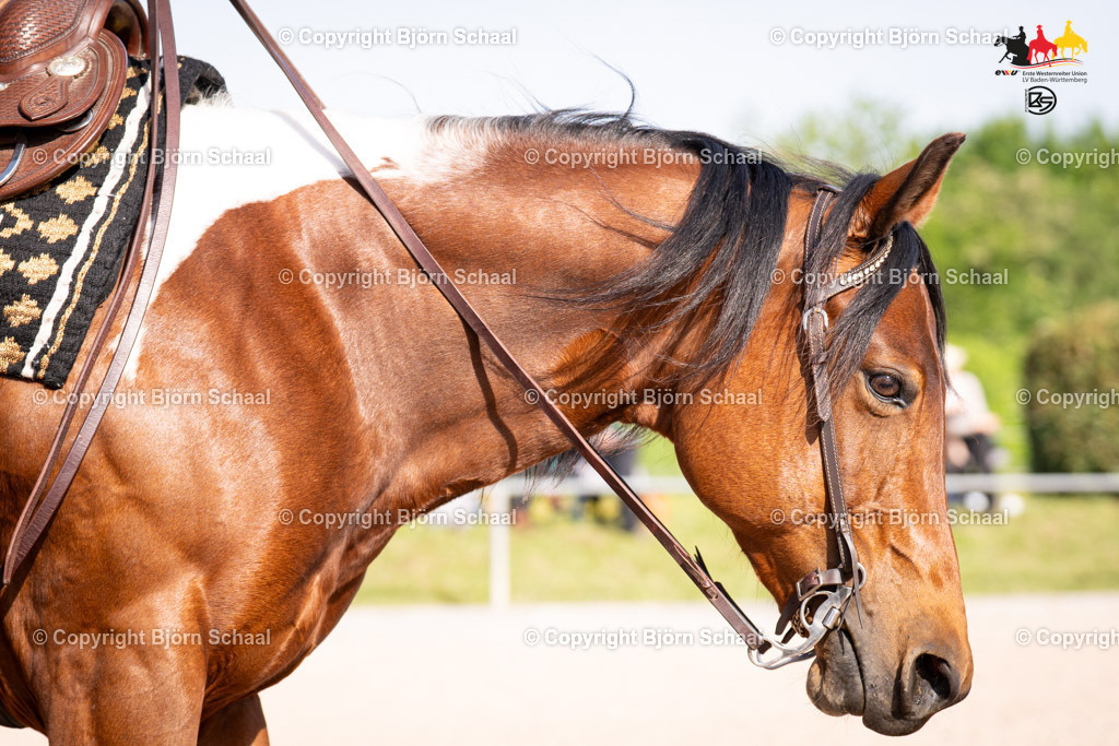 LMB08881 | BS-foto