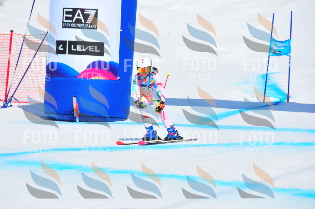 DSC_1204 | holidayphoto