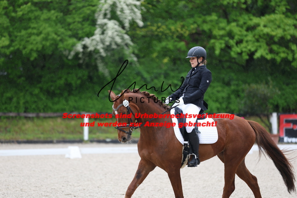 A40A7221 | lmwpictures - Realisiert mit Pictrs.com