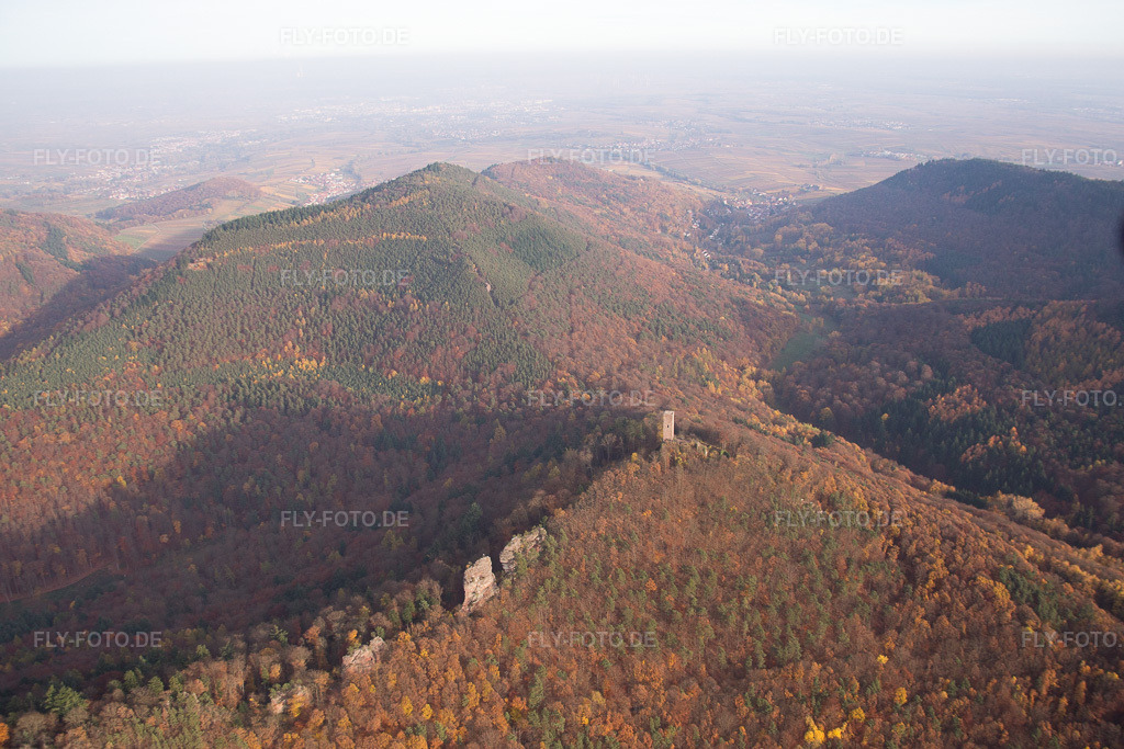 Luftbild: Burgruinen Anebos Jungturm und Scharfenberg in Leinsweiler im Bundesland Rheinland-Pfalz in Deutschland. Foto: IMG_085145.jpg vom 08.11.2015 durch Werner Riehm/FLY-FOTO.de