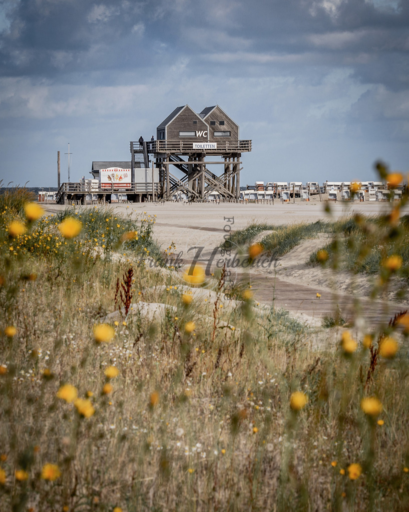 St. Peter Ording | Frank Herberich Fotografie, Frank Herberich, Fotografie, Hochzeit, Portrait, St. Peter Ording, Ording, Westerhever, Nordsee, Frank Fotografie, Hardheim,  Odenwald,Walldürn, Band,Eventfotografie - Realisiert mit Pictrs.com