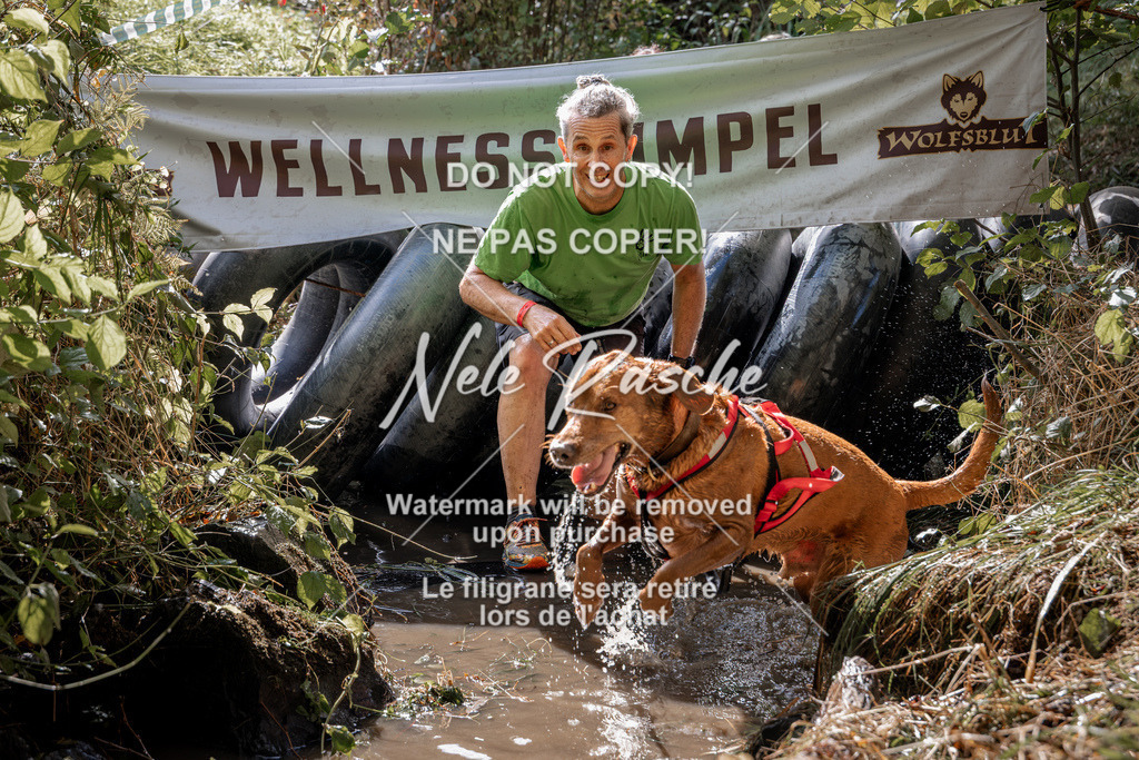 nelerasche_Hunsrück2026_Sa1400-1500_30 | nelerasche