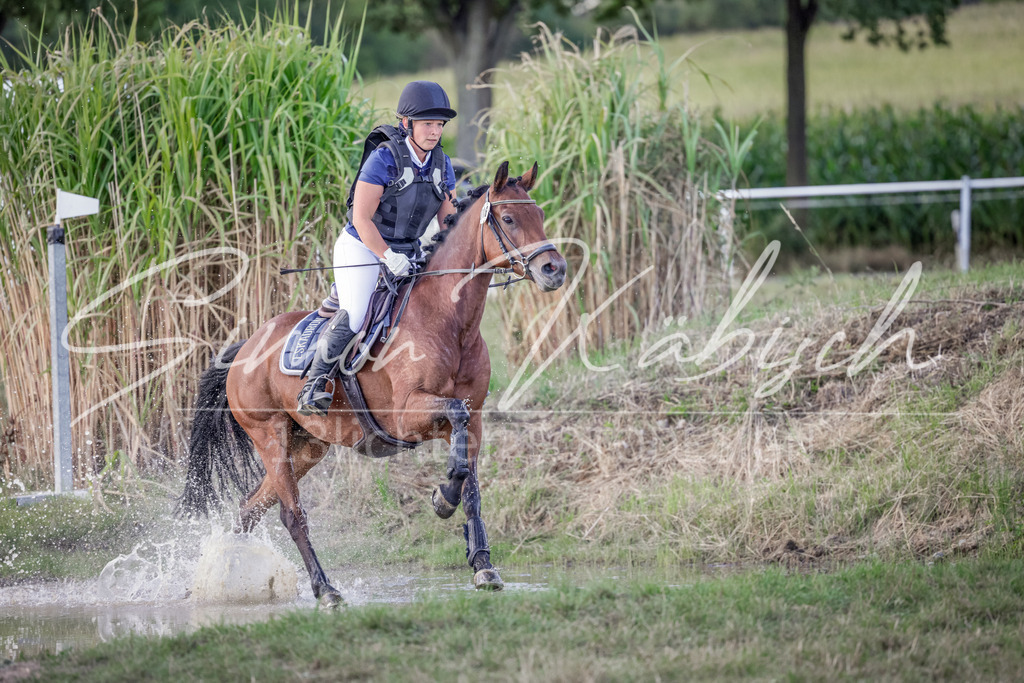 20250906-_3LI7289 | Tierfotografie Pferde, Hunde, Katzen, Haustiere.
Turnierfotografie Reitturniere, Reiten, Springreiten, Dressur in Hanau, dem Main-Kinzig-Kreis und dem Rhein-Main- Gebiet um Frankfurt