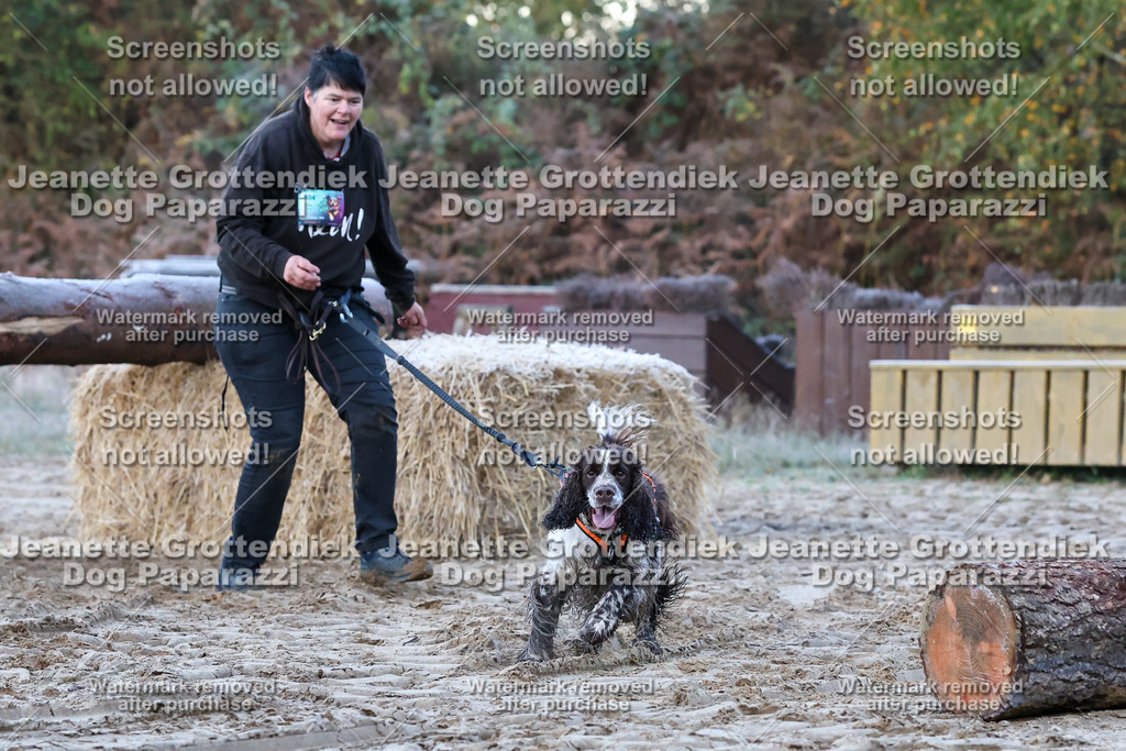 Dog Paparazzi - Strongdog 10-25-151 | Dog Paparazzi Jeanette Grottendiek Fotografie & Videografie - Realisiert mit Pictrs.com