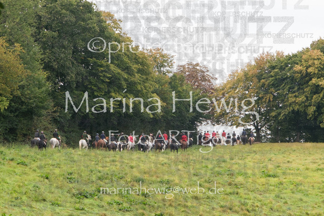 Jagd Perdoel_MarinaHewigDSCF3741 | Fotografie, FotoArt, PferdesportArt, Pferdesportfotografie, Landschaftsfotografie, Reisefotografie, Reise, Pferde - Realisiert mit Pictrs.com
