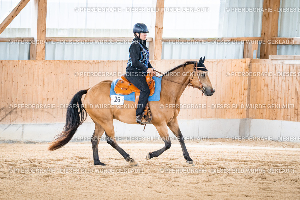 DSC02326 | Pferdegrafie