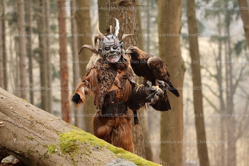 IMG_1981 | fotos-sportlich-belichtet - Realisiert mit Pictrs.com