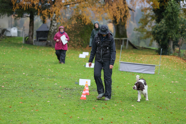2025_Rally_Obedience_SM-57 | Ich fotografiere Hundeausstellungen, Sportanlässe, Zuchtstätten, Hundezucht, Hundeportrait, Lagotto - Realisiert mit Pictrs.com