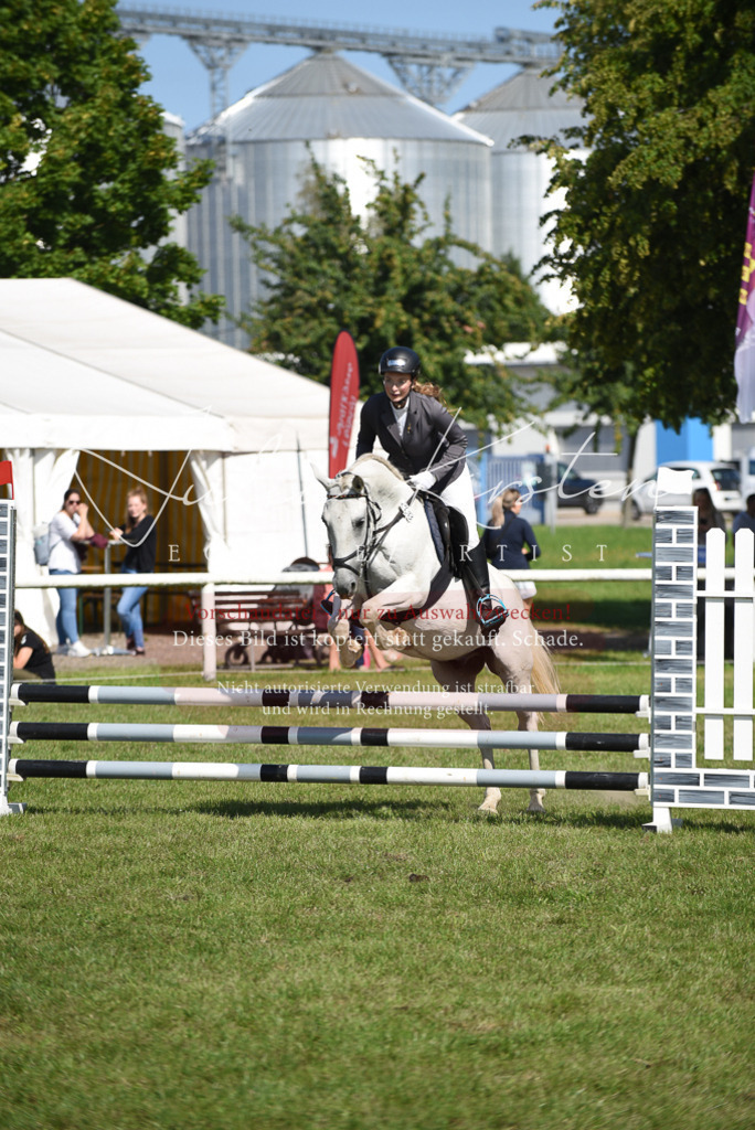 DSC_9148 | Pferde- und Turnierfotografie in Westsachsen. Pferdeportraits, Auftragszeichnungen und intuitive Kunst.