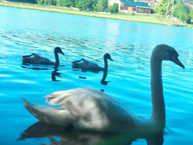 Unerwartete Annäherung | Verkauf von Fotos und  Videoclips zumThema Natur.Motive sind Pflanzen, Tiere, Landschaftenund Wetter - Realisiert mit Pictrs.com