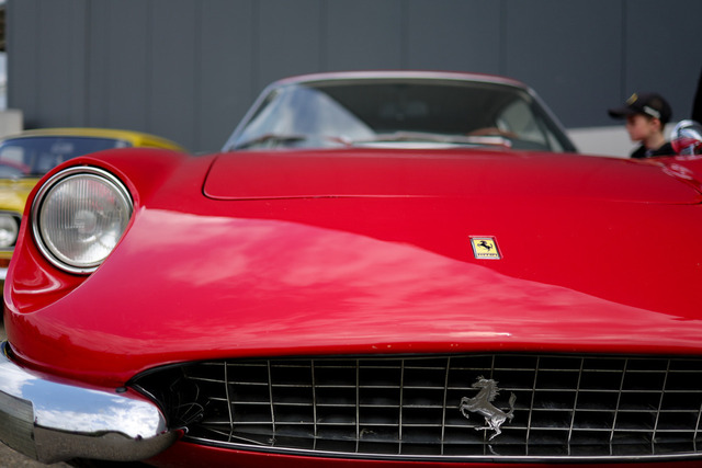 Calag_Oldtimer2025-41 | Ich fotografiere Hundeausstellungen, Sportanlässe, Zuchtstätten, Hundezucht, Hundeportrait, Lagotto - Realisiert mit Pictrs.com