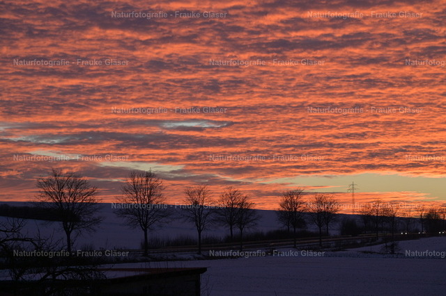 Abendlicht am Elm | Naturfotografie Frauke Gläser - Realisiert mit Pictrs.com