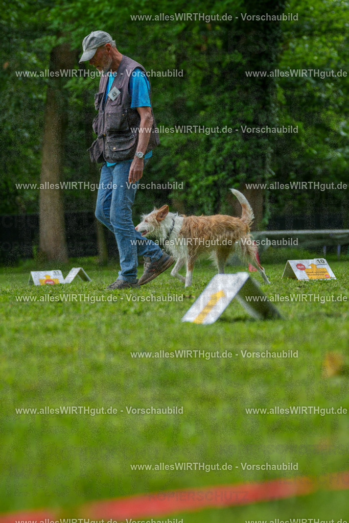 @allesWIRTHgut_Tierfotografie - www.allesWIRTHgut.de - 7R505506 | Professionelle Tierfotografie in Mönchengladbach von Daniel Wirth (allesWIRTHgut). Liebevolle & natürliche Bilder von Hunden & Katzen für unvergessliche Erinnerungen.