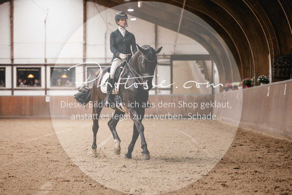 3I6A8195 | Stimmungsvolle Portraits und Reitsportfotografie im Ruhrgebiet und im Münsterland.

Pferdefotografie, Hundefotografie, Tierfotografie, Reportagen, Portraits von Tier und Mensch, Turnierfotografie in Bochum, Recklinghausen, Marl, Haltern am See, Dülmen.. - Realisiert mit Pictrs.com