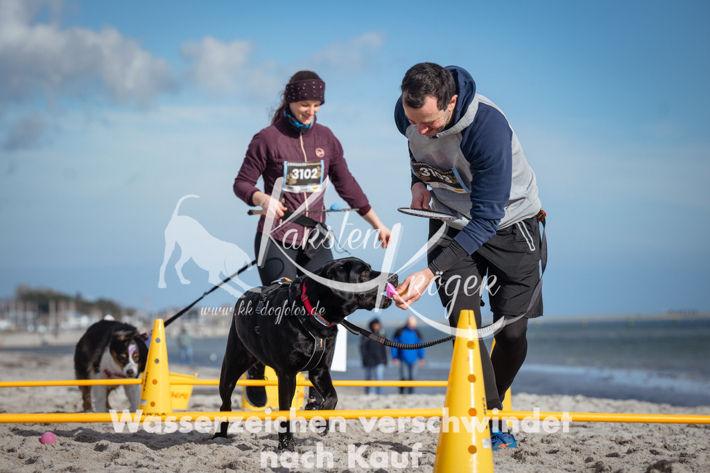 1323_ZZ91528 | kk-dogfotos