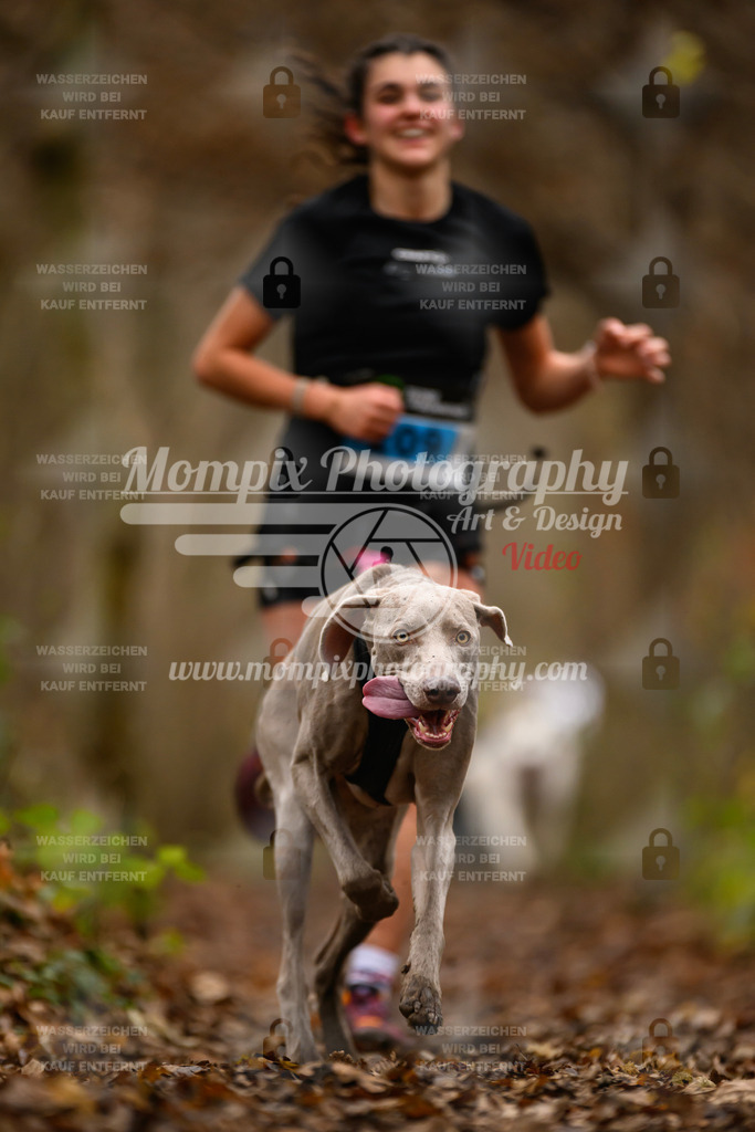 MompixPhotography_Eschau2024_CCC-33 | PayLife