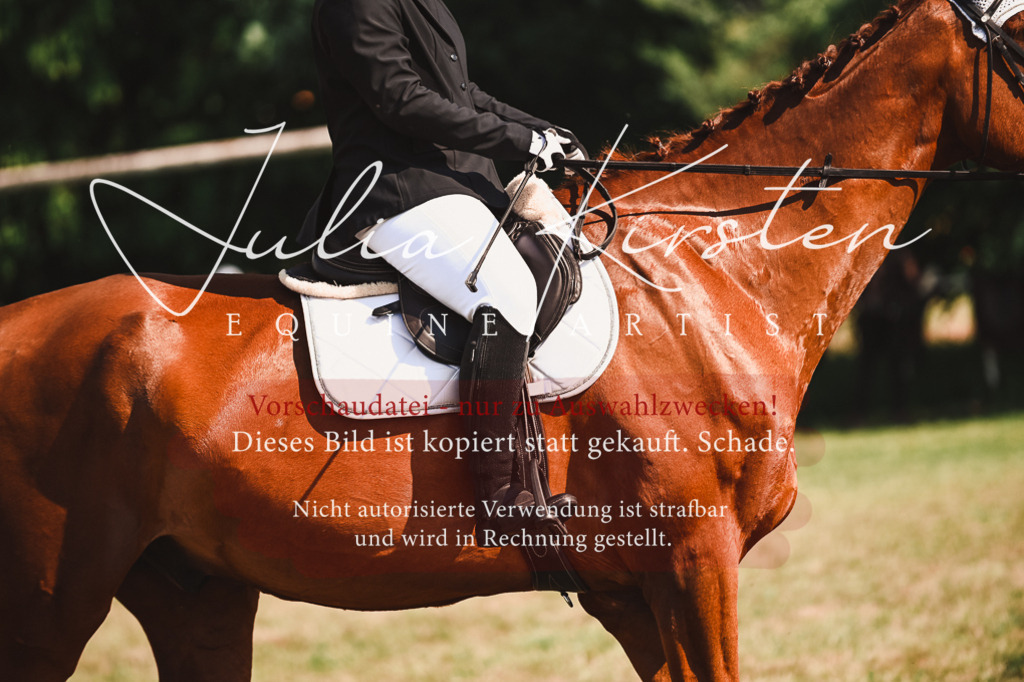 DSC_7305 | Pferde- und Turnierfotografie in Westsachsen. Pferdeportraits, Auftragszeichnungen und intuitive Kunst.