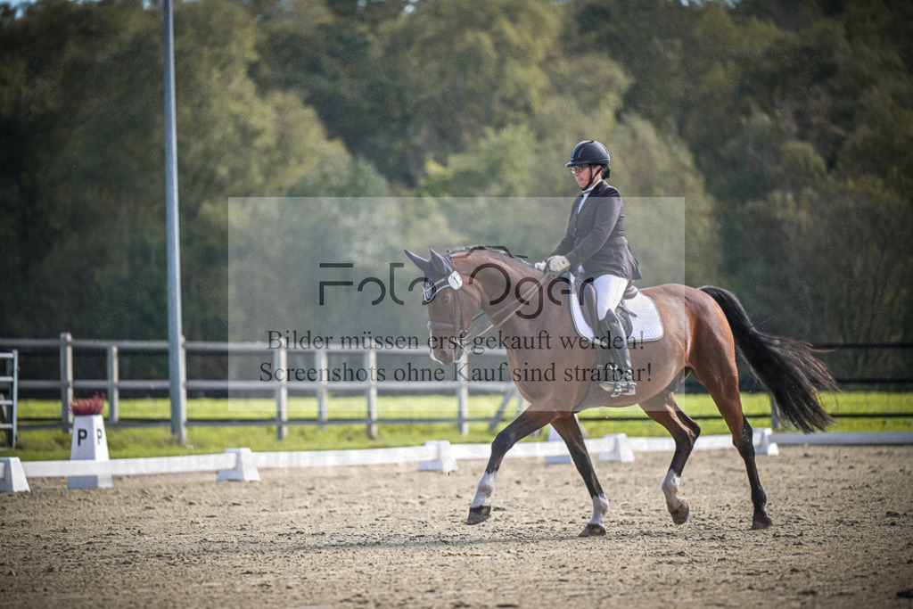 DOS_0917 | Entdecke hochwertige Reitturnierfotos von Foto Oger. Professionell, emotional und authentisch – jetzt Lieblingsmomente im Shop bestellen.Deutschlandweite Turnierfotografie. - Realisiert mit Pictrs.com