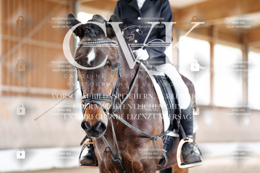 CK901361 | Turnierfotografie Pferdefotografie Trier Rheinland-Pfalz Pferdesport Reitsport Tierfotografie Sportfotografie Pferdevideo Pferdevideografie Equestrianvideography equestrianphotography  - Realisiert mit Pictrs.com