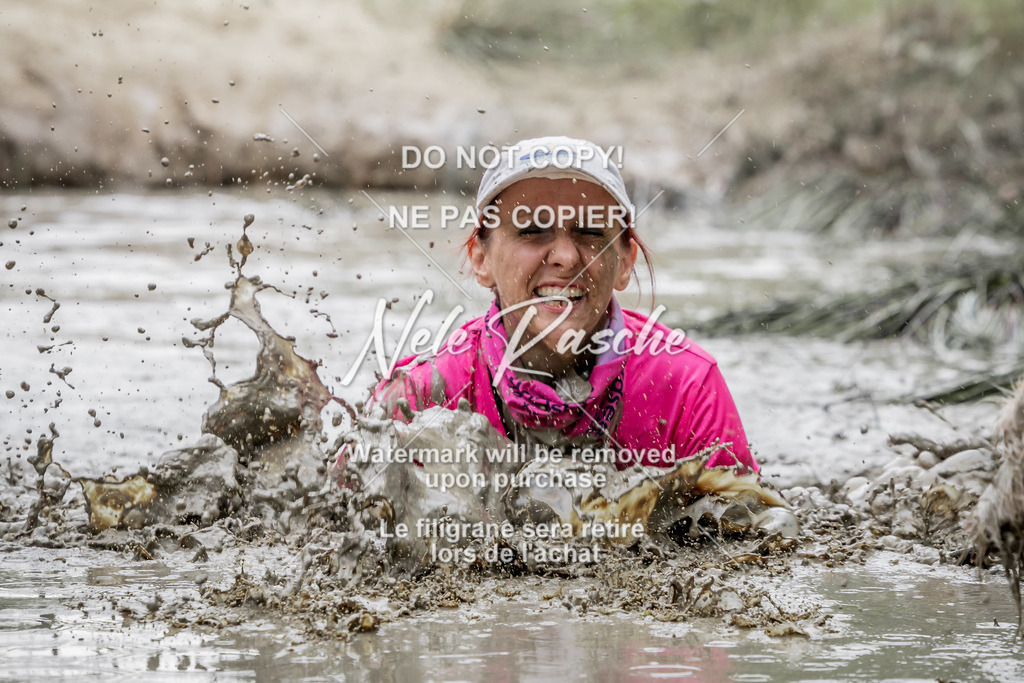 nelerasche_so1445-1515_388 | nelerasche
