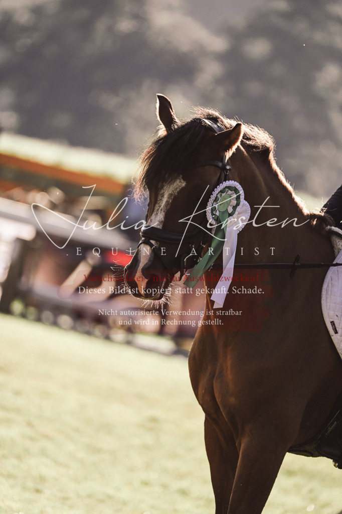 DSC_4612 | Pferde- und Turnierfotografie in Westsachsen. Pferdeportraits, Auftragszeichnungen und intuitive Kunst.