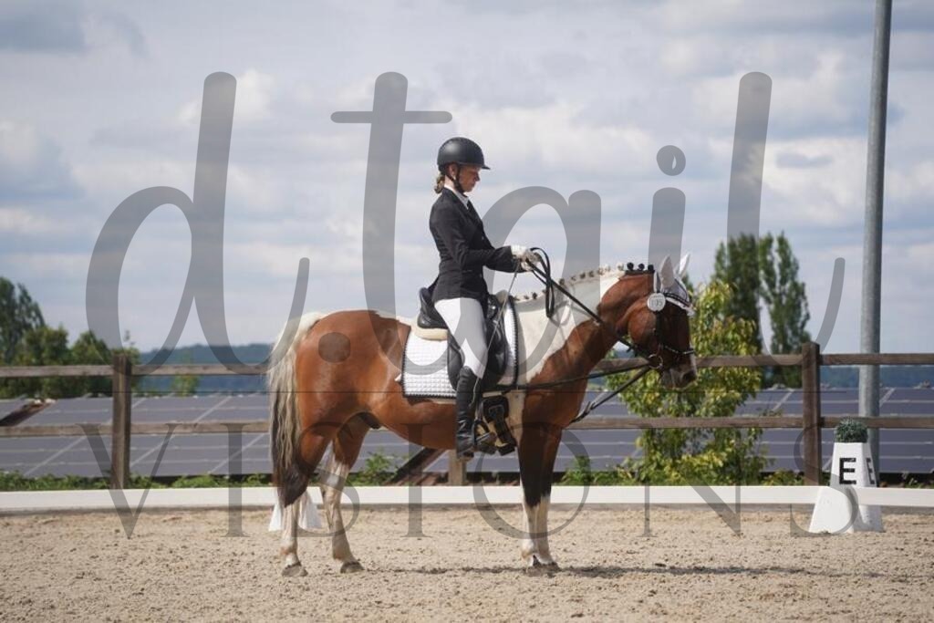 tgbhsamstag (1123) | d.tail Visions - Shop - Realisiert mit Pictrs.com