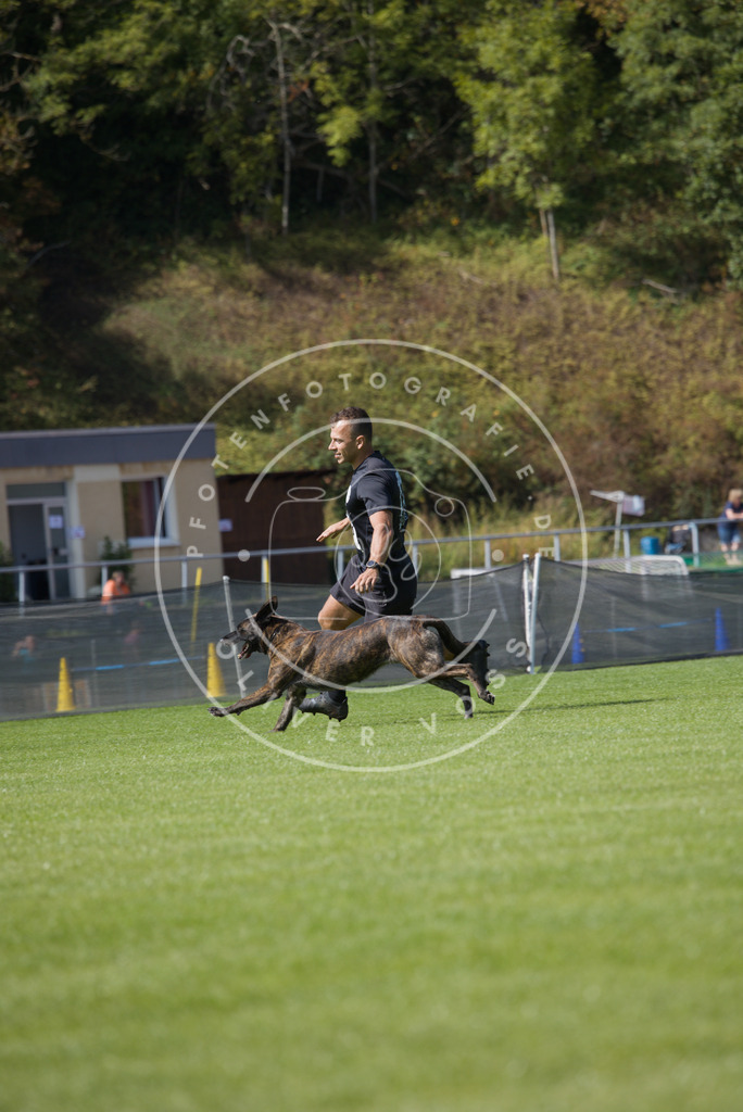 0L8A3115 | Hundefotografie, Tierfotograf, Pfotenfotografie, Fotoshooting Hund, Hunde Portrait, Hundesport, Hundeportraits, Heideshooting, Hunde, Sportfotograf, Hundefotograf, Turnierhundsport, THS,  - Realisiert mit Pictrs.com