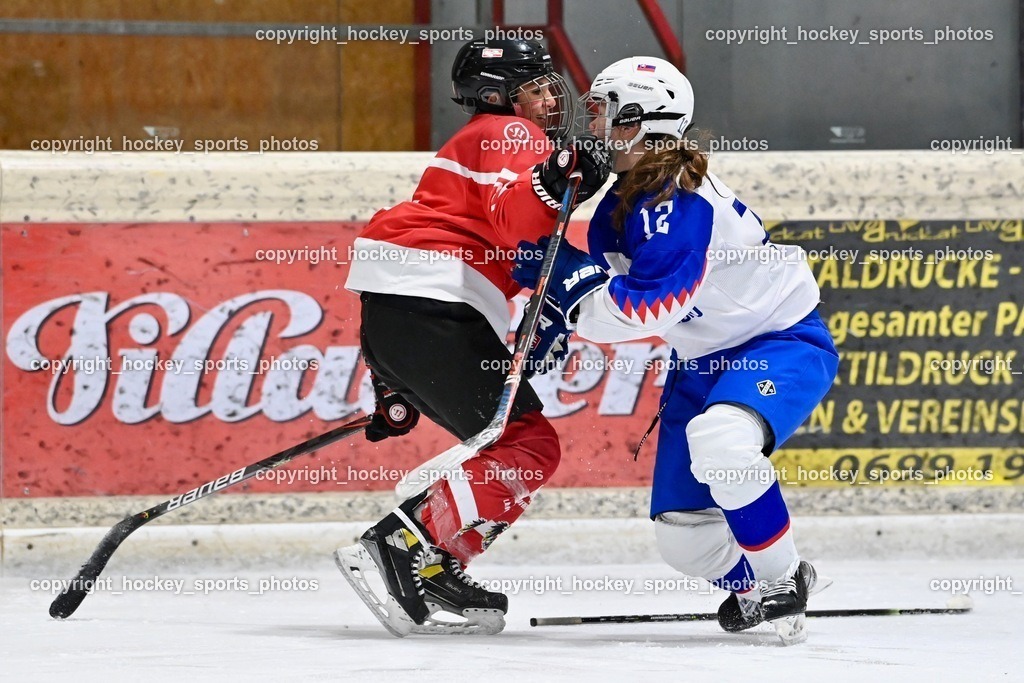 BST_3766 | hockey sports photos, Pressefotos, Sportfotos, hockey247, win 2day icehockeyleague, Handball Austria, Floorball Austria, ÖVV, Kärntner Eishockeyverband, KEHV, KFV, Kärntner Fussballverband, Österreichischer Volleyballverband, Alps Hockey League, ÖFB, 
