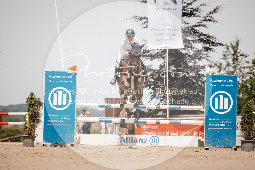 3I6A7917 | Stimmungsvolle Portraits und Reitsportfotografie im Ruhrgebiet und im Münsterland.

Pferdefotografie, Hundefotografie, Tierfotografie, Reportagen, Portraits von Tier und Mensch, Turnierfotografie in Bochum, Recklinghausen, Marl, Haltern am See, Dülmen.. - Realisiert mit Pictrs.com